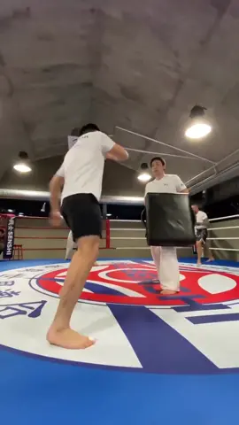 Jo Miyahara got some serious power 😳 #karate #martialarts #mma 