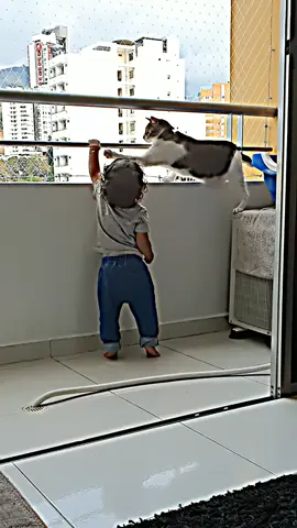 Cat saves the little girl's life by preventing her from falling off the building #cat #toddler 