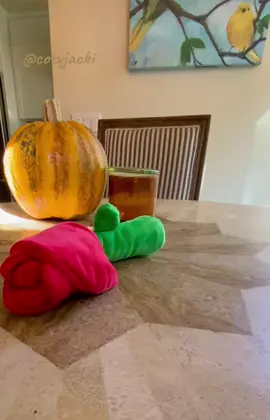 Click 🛍️ link for Rose info. #tiktokmademebuyit #tiktokshop #catluxury #blackfriday #bachelorready 