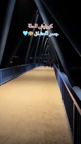 صعدتو عالجسر لو بعدكم ؟ اني هاي اول مرة اصعدله 😌🩶🔥#اكسبلور🔥 #بابل #الحلة #كورنيش_الحله #جسر_العشاق #حركة_إكسبلور_لايك❤_كومنت #العراق #الخليج 