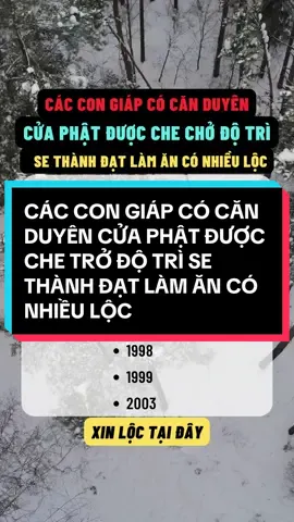 CÁC CON GIÁP CÓ CĂN DUYÊN CỬA PHẬT ĐƯỢC CHE TRỞ ĐỘ TRÌ SE THÀNH ĐẠT LÀM ĂN CÓ NHIỀU LỘC ##tuvi##huynguyendang00##phongthuy##nettuong##phongthuytamlinh