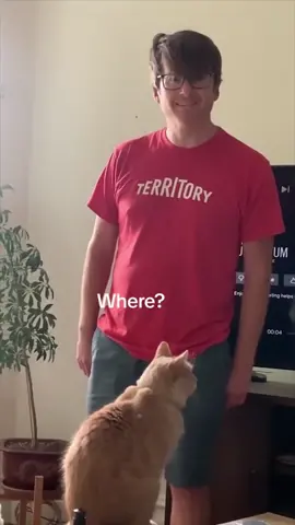 Is the cat talking to him?🙀🤣#cat #cats #cutecat #catlover #catsoftiktok #fyp #fypシ #foryou #foryoupage #funny #funnycat #funnyvideos #funnyanimals #funnytiktok #kitty 