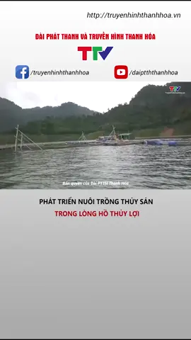 Phát triển nuôi trồng thủy sản trong lòng hồ thủy lợi #xahoi #kinhte #thuysan #truyenhinhthanhhoa