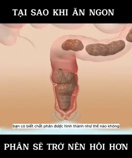 Ăn ngon thì ỉa thối là có thật#xuhuong2023 #TikTokAwardsVN2023 #CapCut #đôclabinhdương 