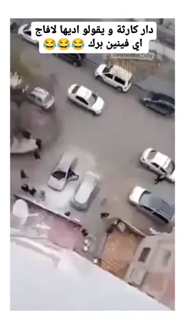 #فديو_عنابي_وقسنطيني_تخرجلي_راس_راس😂#إذا_أعجبكم_حط_لايك_ومتابعه #ابوني_ياك_باطل_ولا_حنا_مانستاهلوش🤭💕🌹💯 