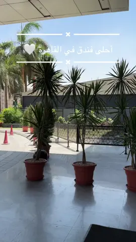 #VNVideoEditor #فنادق #بدون_موسيقى #viral #fyp #explore #مصر#فنادق_القاهرة #سفروت #طائرة 