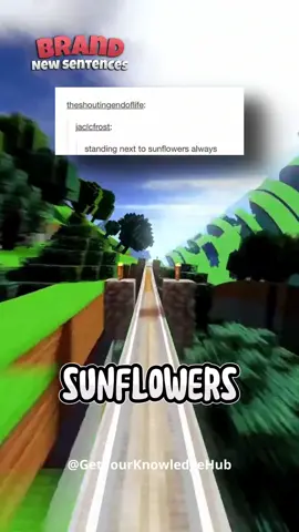 Brand New Sentences #53 #memes #funny #comedy #memesdaily #funnymemes #Minecraft #trippy #cool #gaming #uk #british #fyp #viral #trending #reddit 