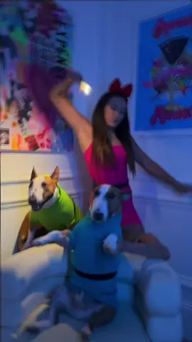 powerpuff pups… assemble 💚💖💙
