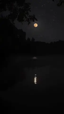 #قمر #تدور_الارض_وتدور_السوالف_والسنين_تدور  #نجوم_الليل #شيلات_روعه_خواطر_ذوق #CapCut #الشعب_الصيني_ماله_حل😂😂 #تصميم_فيديوهات🎶🎤🎬 #قوالب_كاب_كات_جاهزه_للتصميم #fyp #foryou #foryoupage #viralvideo #viraltiktok #fy #fyppppppppppppppppppppppp #fypシ゚viral #fyy #تيك_توك_عرب #تيك_توك  #ليل #الشتاء_البرد_اجواء_شتويه #الشتاء🎻🎼  #اجواء_الشتاء  