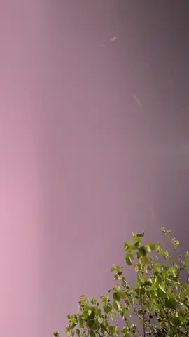 جعل السحاب اللي معه برق ورعود⛈️ .#اكسبلورexplore #تصويري #القوز_حلي_القنفذة #مطر #بدون_موسيقى #جعل_السحاب_اللي_معه_برق_ورعود #fypシ #viral #الديره #tiktok #foryoupage #dancewithpubgm 