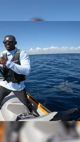 trying to dodge the sharks 