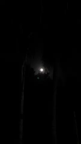 Admiring you from afar🫶🏻🥺 #fypシ #chillthenight #moment #moonlover 