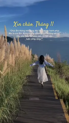 Xin chào tháng 11 🎀🌷  May Mắn - Bình An - Hạnh Phúc 🫶🏻🌷 #PhuNuVietNam #halloween2023 #dieuhue #thang11 #nhenhang #chill #xh #PhuNuVietNam #xhuongtiktok 