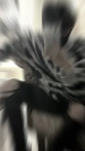 nhìn em anh bối rối #xh#tungquen#th#viral 