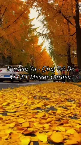 Bernostalgia kalok denger lagu ini🥹🍁Harlem Yu - Qing Fei De Yi OST Meteor Garden #meteorgarden #meteor #garden #f4 #taomingse #sanchai #qingfeideyi #dracin #dracinrekomendasi #dracinlovers #dramachina #dramachinaupdate #dramachinese #ost #dramatiktok #lirik #liriklagu #lirikvideo #lyricsvideos #lyricsvideo #lyrics_songs #f #fyp #fypシ゚viral #fypage #fypdongggggggg #bismillahfyp #bismillah #bismillahfypシ #viral #viralvideo #viral_video #baby #bestfriend #best #leeminho #f4 #masukberanda #masukberandafyp #masukfyp #masukberandamuu #masukberandagak #beranda #berandatiktok #berandafyp #berandafypシ #berandagak #trending #trend #trendingvideo #trendingsong #trendy #trends #trendingtiktok #trendingnewsmalaysia 