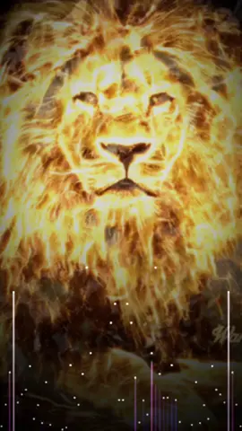 #CapCut #ciltbakımı #fyp #viral #tiktokindia #fypシ #lion #aslan #tiger #قلب #الاسد #الشعب_الصيني_ماله_حل😂😂 #اكسبلور #king #viralvideo 