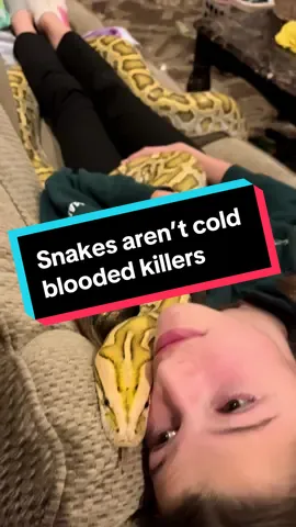 She’s not Eve. She’s Lilith. *if you’re planning to comment that my daughter is about to get eaten or is being sized up, please click on the video I posted last night. I truly want to help stop the spread of misinformation. Snakes need someone to speak on their behalf.  #reptilewhisperer #snakesoftiktok #snaketok #fyp #burmesepython #girlswholovesnakes 