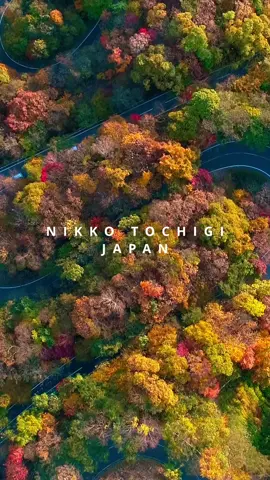 Nikko in Autumn Tochigi Japan 🍁🇯🇵 Drone Shot #japantravel #japantrip #japantourist #japantour #autumninjapan #japan🇯🇵 #japanautumn #nikko #japangram #日光 #紅葉 