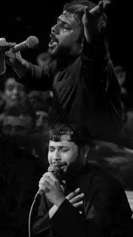 كلمن يمه صاحب.. #سيد_فاقد_الموسوي  #شور #جديد 