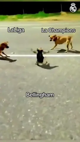 👐 JB5 👐 #Bellingham #LaLiga #UCL 