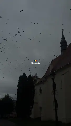 🇷🇴😍 #romania🇷🇴 #romania #vampire #dracula #halloween #buharest 