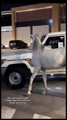 #حلوا #فخامهـ♕ #شاص2021 #ماشاءالله_تبارك_الرحمن #اكسبلور🤍🤍🥺 