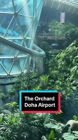 Tropical garden inside Doha, Qatar airport.  #fyp #tiktokpartner #LifeOnTikTok #dohaairport #theorchardqatar #gardenairport #qatar #foryoupage 