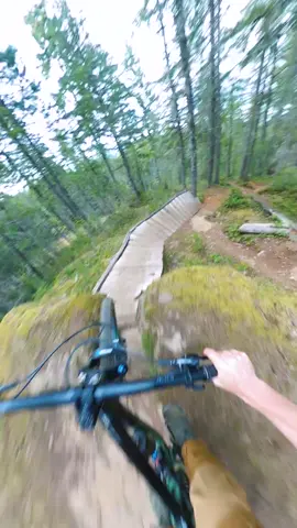 Look past the trees! 🌲 #mtb #ride #sendit #gaming #performedbyprofessionals 