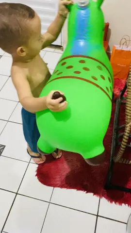 Pietro e seu cavalo 🐴 #upaupa #upaupapocoto #upaupacavalinho #cavalo #animais  #criancacomcavalo 