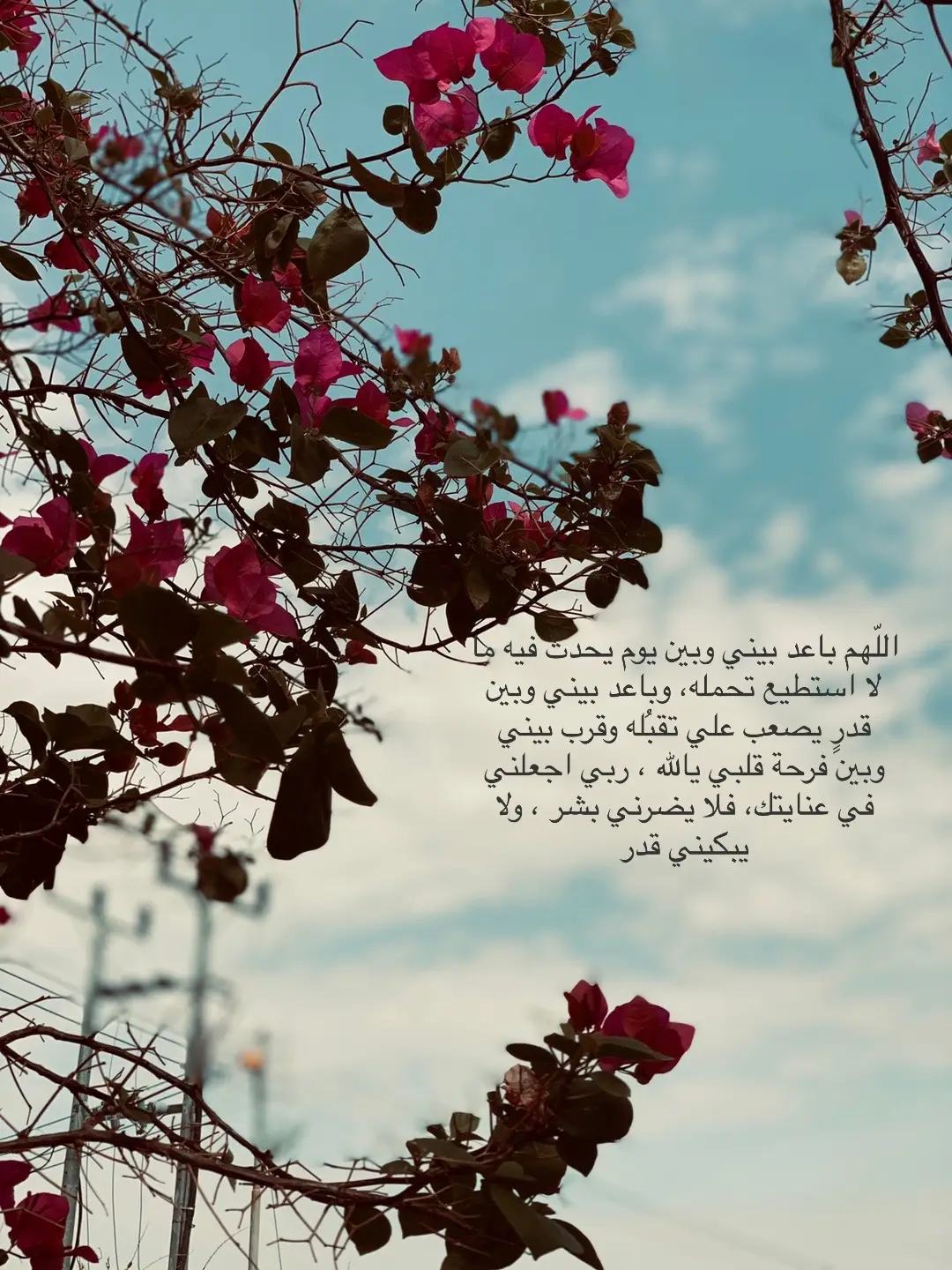 #خواطر_سوما #اجر_لي_ولكم 