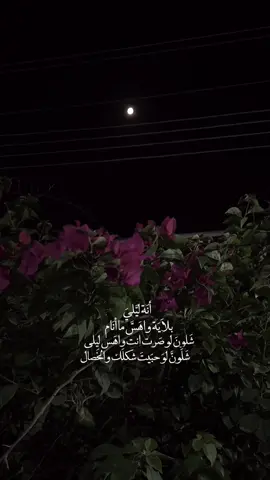 قمر وليل ✨🖤#جبار_رشيد #انا_ليلي_بلاي_واهس #moon