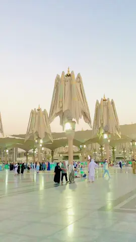 Any walo yh tu Btao sehr Madina keSa hai🥹🥹#madinah #madinasharif 