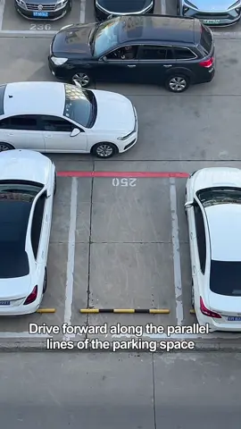 My followers must know how to reverse into a parking space!#car #tips #skills #driving #carsoft 