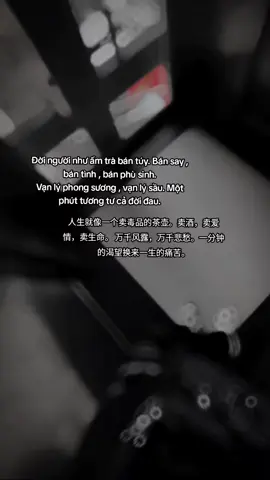 卖酒，卖爱情，卖生命。 万千风露，万千悲愁。一分钟的渴望换来一生的痛苦。 #xuhuong #ruanzhong9 #CapCut 
