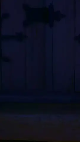 اعذروني عالقطعة كان علي امتحانات 😅❤+اطلبوا اسامي🥺🦋 #فاطمة #اسامي_بنات_🧸🤍 #تصميم_XX__Ahamd__XX #تصميم_فيديوهات🎶🎤🎬 #تصميمي #الدعم_يا_ناس #fypシ #foryou #foryoupage #like #eksplor #follow #comment #share #viral #viral #viral #viral #viral #viral 