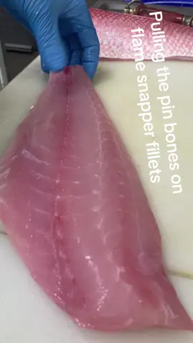 Using the f.dick tweezers, pulling the pin bones out of a flame snapper (etelis coruscans)  #fish #fillets #snapper #flame #reef #queensnapper  #handline #linecaught #ikijime #brainspike #iceslurry #seafood #ocean #caught #tuna #inshore #fishmonger #victorinox #boning #sealife #graftonfishbutcher  #realfishmongersofinsta  #clarencevalley #coffsharbour  #coffscoast #clean #pristine