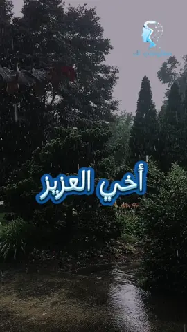 أجمل كلام ممكن أن تقدمه لأخيك ♥ كلام مؤثر عن الأخ @معلومتي لك #أخي #كلام_من_ذهب #كلام_مؤثر #أخي_سندي❤️ #حساب_معلومتي_لك 