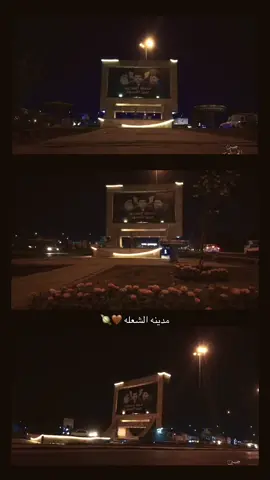 #شعله_الصدرين #عرين_الأسود  