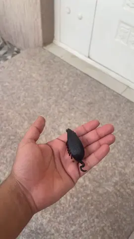 مع الاجواء الحلوه ودك تطلع مع مسن منشنه ؟ #حموش #اكسبلور #الشعب_الصيني_ماله_حل😂😂 المقطع لايفوتكم ههههههههههههههههههههههههههههههههههههههههههههههههههههه