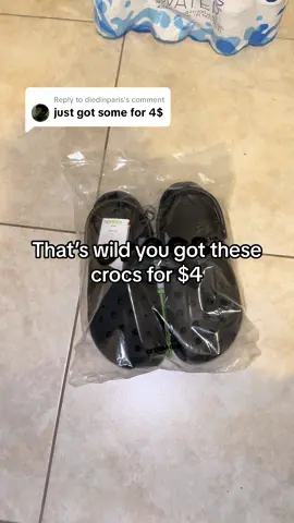 Replying to @diedinparis  they are on sale for $19 rn! Link listed to the tiktok shop.  #flashsale #crocs #tiktokshop #crocs4life #crocsgang #fyp #foryou #crocsquad #viralproducts #crocswithnosocs 