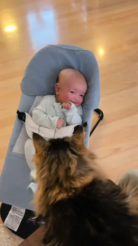 He knew about you even before I did. The best big brother in the world 🤍 #pregnancy #pregnancytiktok #catsoftiktok #cattok #catmeetsbaby #catmeets #newmom #newborn #newbaby #PetsOfTikTok #emotionalsupportanimal #emotionalsupportcat #catdistributionsystem #newmomlife 