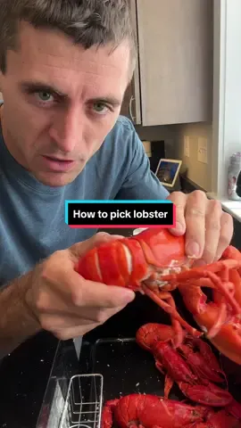 How to pick lobsters! #maine #lobster #fishing #commercialfishing #lobsterfishing #comerialfishing #lobstertok #fy #fyp #207 #mainecheck #cooking #cooklobster #eatlobster #seafood #interesting #dudyouknow #hack 