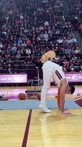 They have definitely done this a time or two 🏀😯@castoinev/IG #Worldstar #Fyp #Pet 