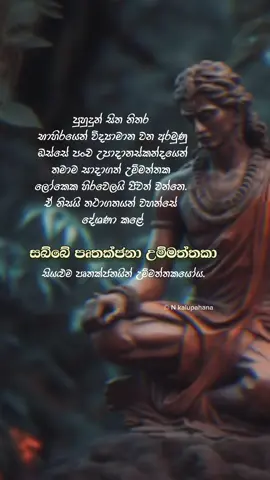 ඔබ වහන්සේ දේශනා කළ මේ උතුම් සද්ධර්මය පිරික්සක්දී එය පරම සත්‍යක් බව සක් සුදක් සේ වැටහුන නමුත්.තාම එය දැණුමකි. මා ඔබ වහන්සේ සැබෑවටම පිදීමටනම් එය කෙසේ හෝ ප්‍රත්‍යක්ෂ කළ යුතුමය..🙏 #viral #trending #foryou #foryoupage #tiktok #srilanka #nalindrakalupahana 