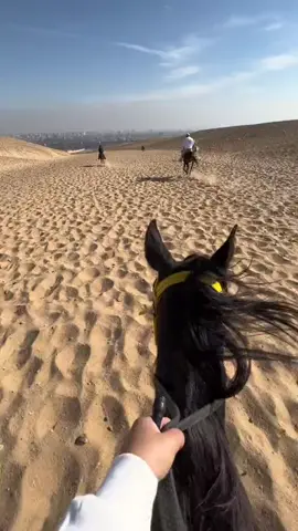 اخر مره ركب خيل كان امتاا🤩✨#نزله_السمان_الهرم👑💸👹 #خيل_وخياله🐎 #ypfッ #الهرم #نزله_السمان #السمان #نزله_السمان_الهرم #الاهرامات #الاهرمات #الاهرامات_مصر #خيل🐎 #الخيل_العربي_الاصيل #الخيل_العربي #الخيل_عشق #الخيل_عشق_لاينتهي #السمان_بلدنا 