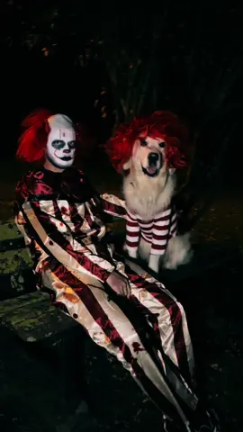 🤡 #goldenretriever #halloween #fyp #foryou #pourtoi 