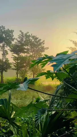 Sunrise in the morning🥰❤️ #tiktok #wildlifephotography  #nature #foryou #homepage #support 