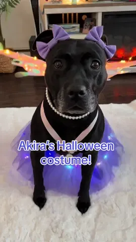 isn’t she the cutest?! 🥹 have a safe and happy halloween 💖