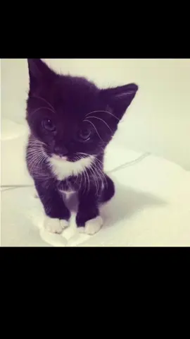 it’s my birthday🎂 #music #foryoupage #DeSeusVideos #sad #liahfjk 