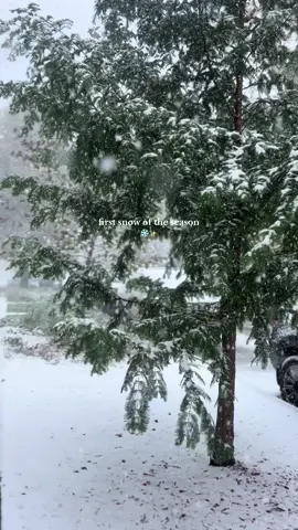 chicago really said “let it snow” ⛄️❄️✨#firstsnowfall #winteraesthetic #chicagotiktok #pintrestaesthetic #snowfall #winteriscoming #gilmoregirls 